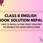 Class 8 English Book solution Nepal Unit 13 Exercise